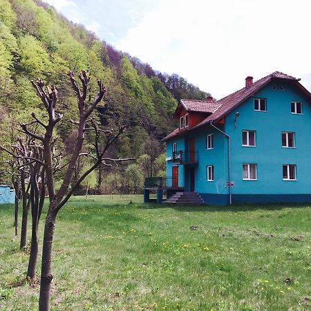 Casa Verde Hotel Rîu de Mori Екстериор снимка