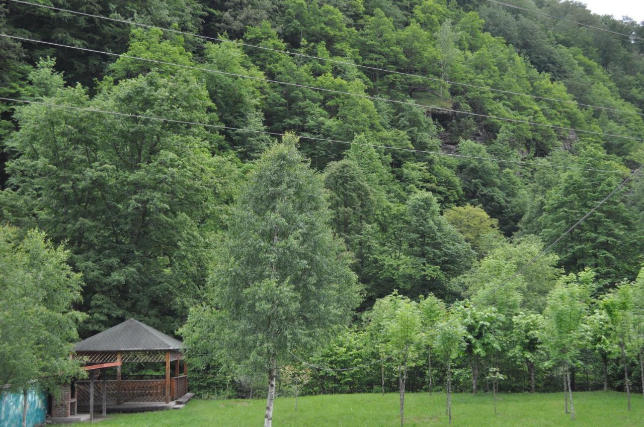 Casa Verde Hotel Rîu de Mori Екстериор снимка
