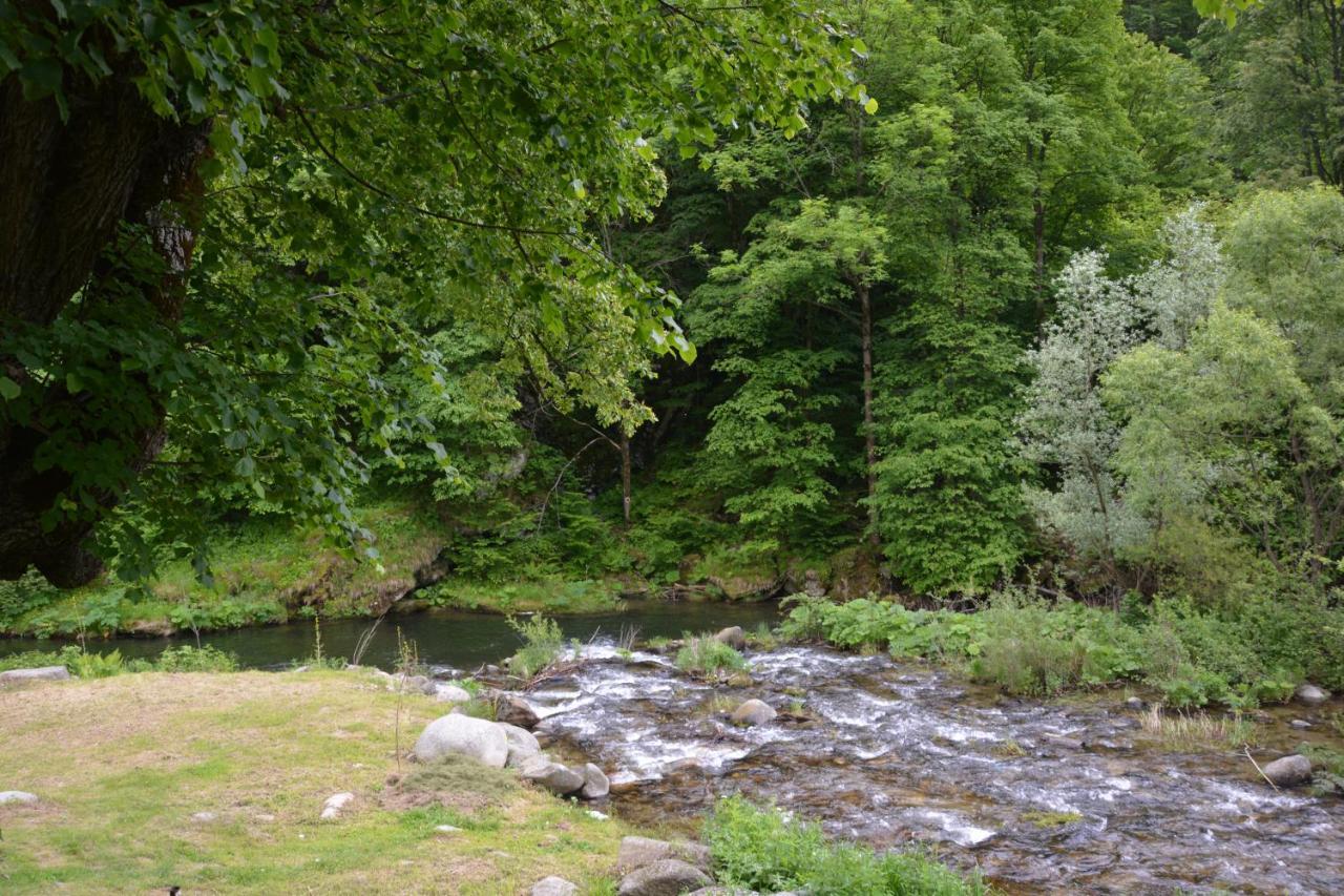 Casa Verde Hotel Rîu de Mori Екстериор снимка