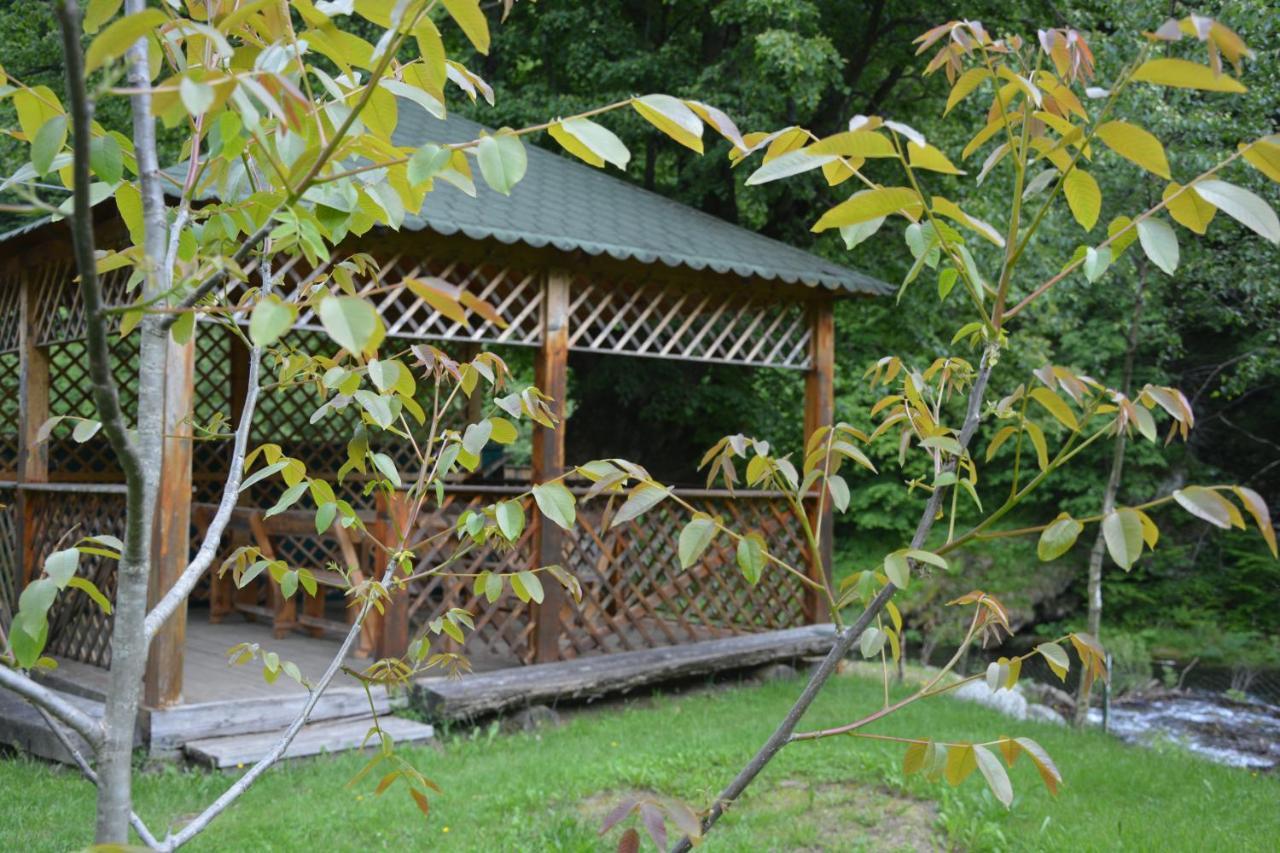 Casa Verde Hotel Rîu de Mori Екстериор снимка